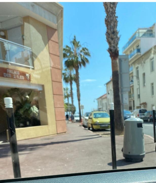 Magnifique 2 Pieces Palm Beach Bord Mer Канни Екстер'єр фото